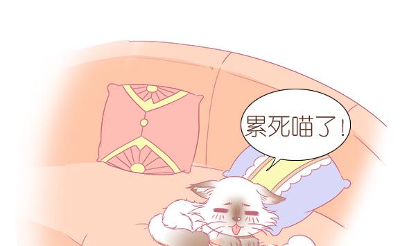 第4话 增肥计划 1-第4话