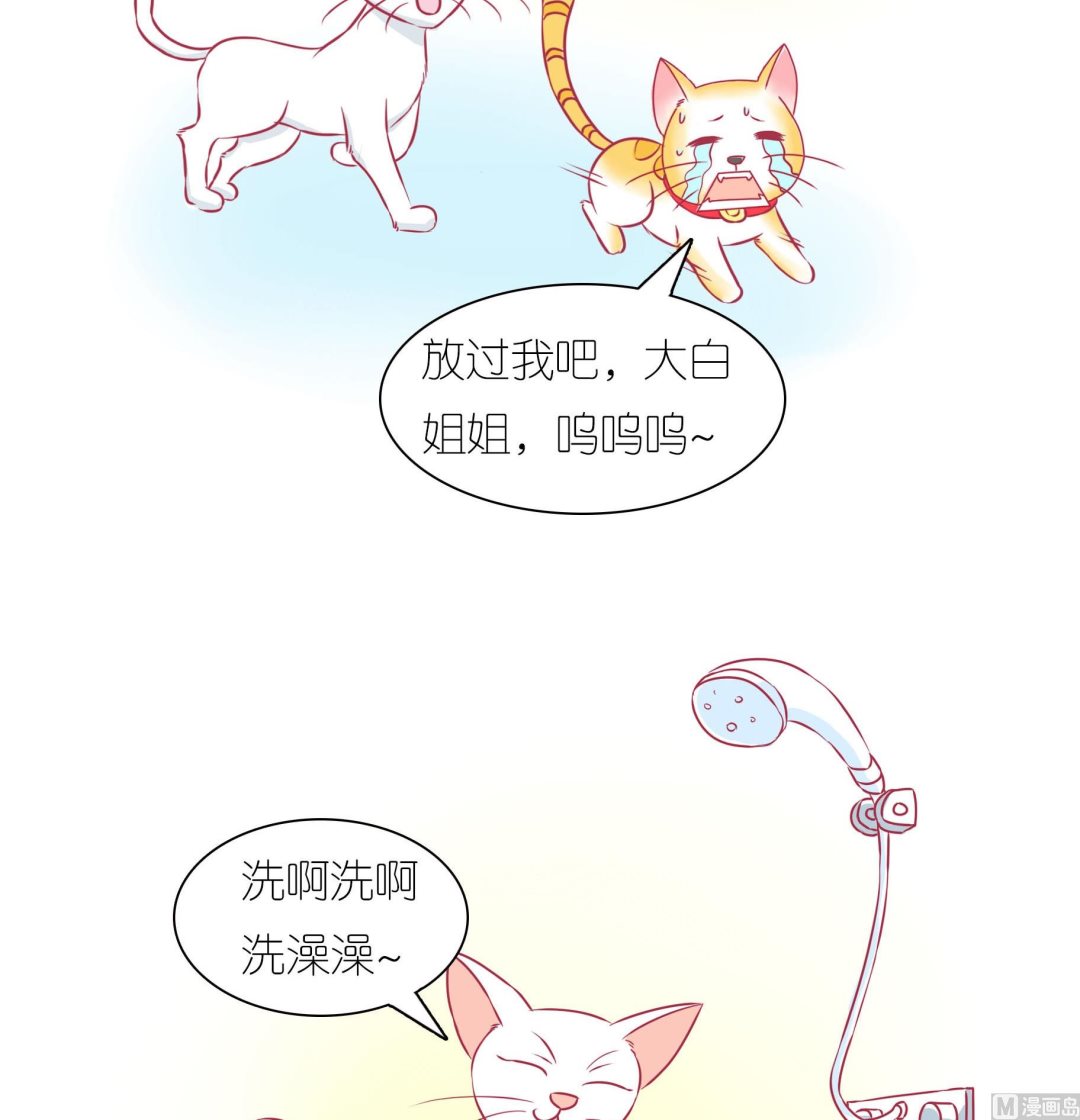 第32话 照顾豆沙-第32话