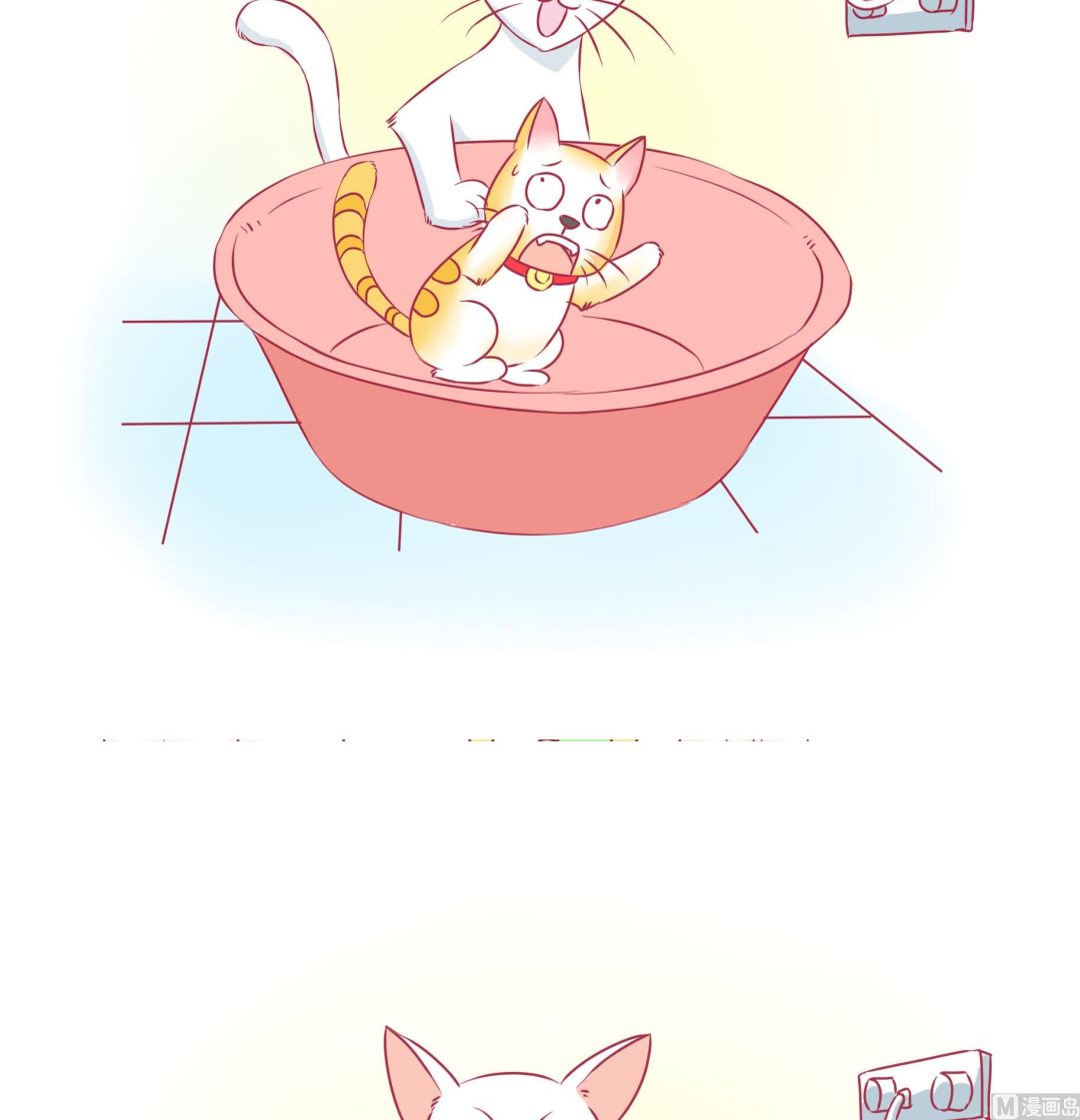 第32话 照顾豆沙-第32话