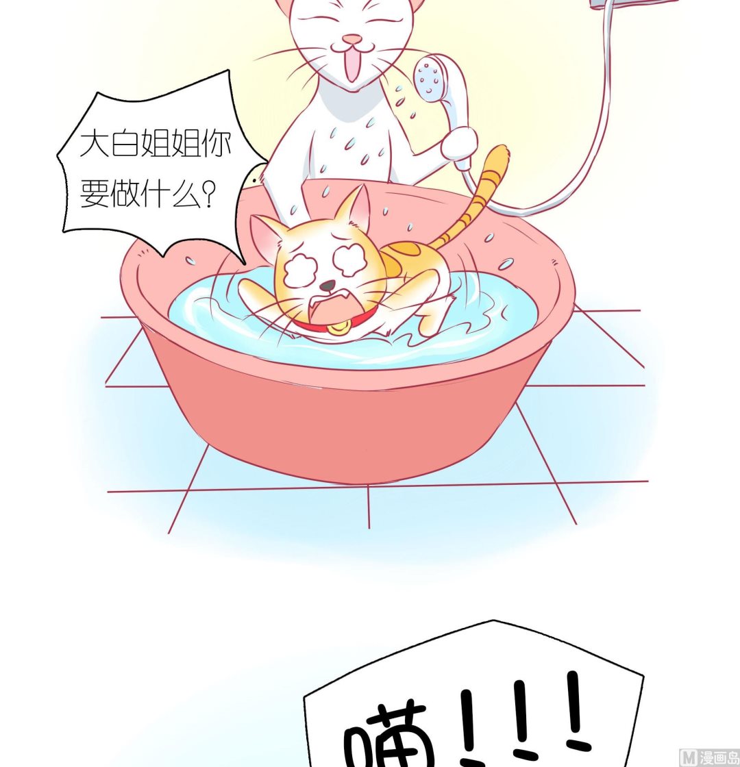 第32话 照顾豆沙-第32话