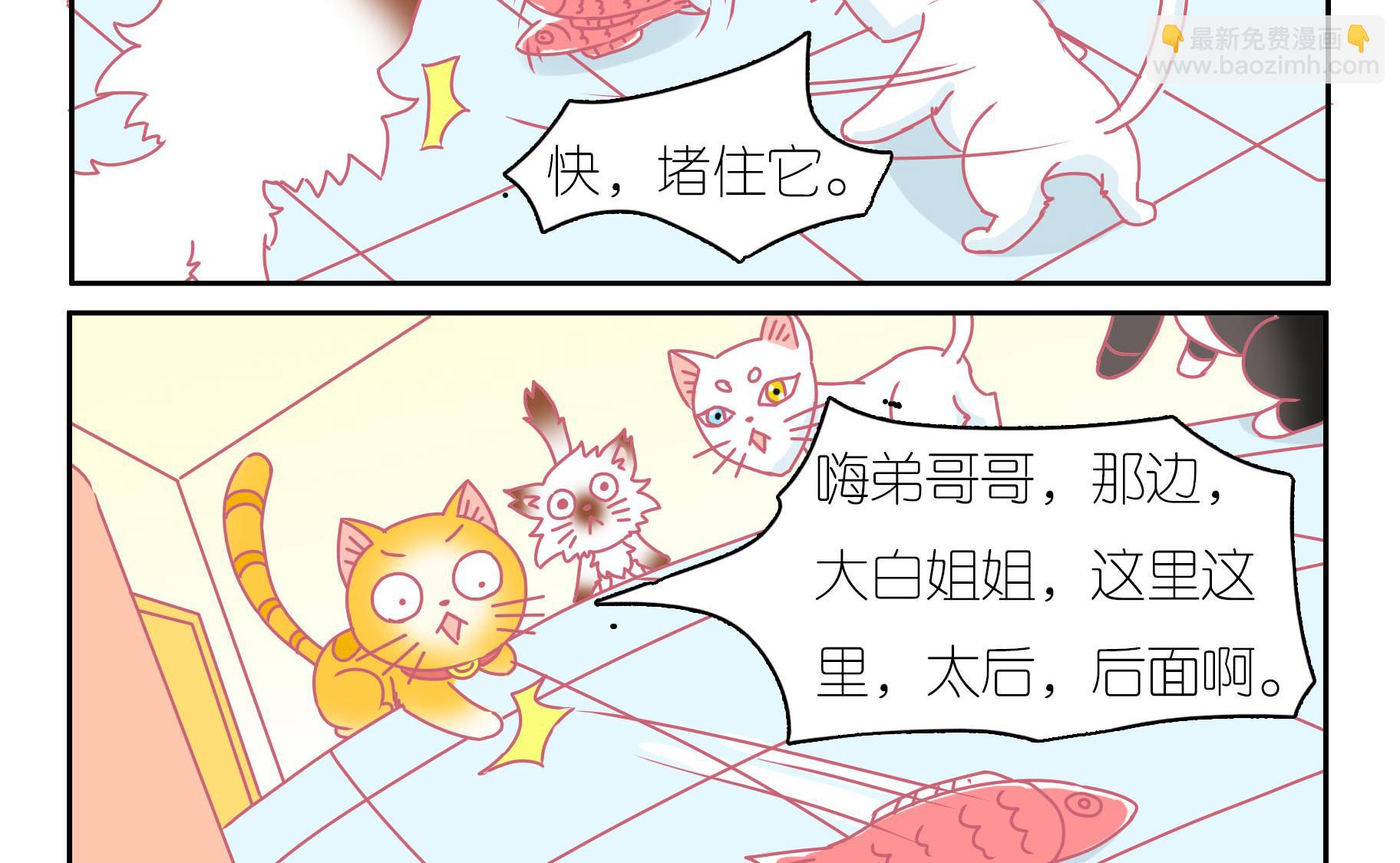 第40话 告别豆沙 3-第40话