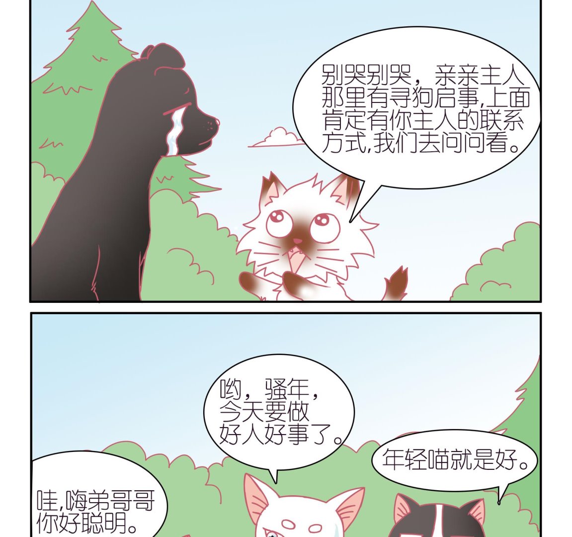 第42话 寻找伙伴 2-第42话