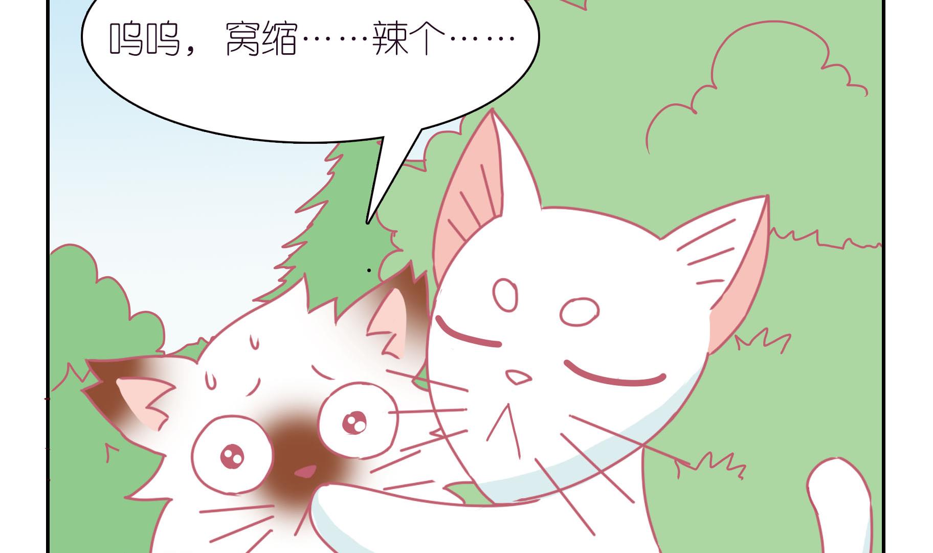 第42话 寻找伙伴 2-第42话