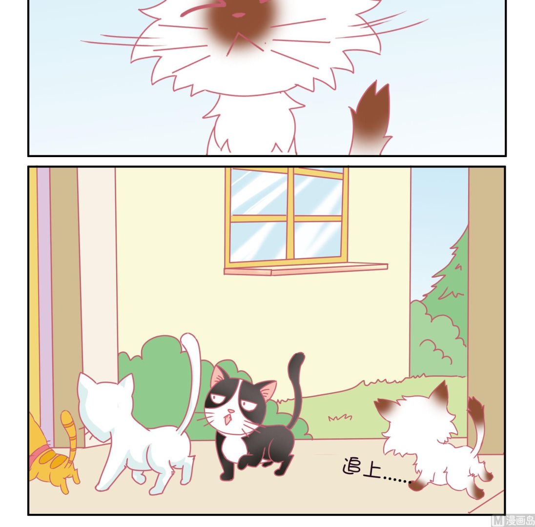 第42话 寻找伙伴 2-第42话