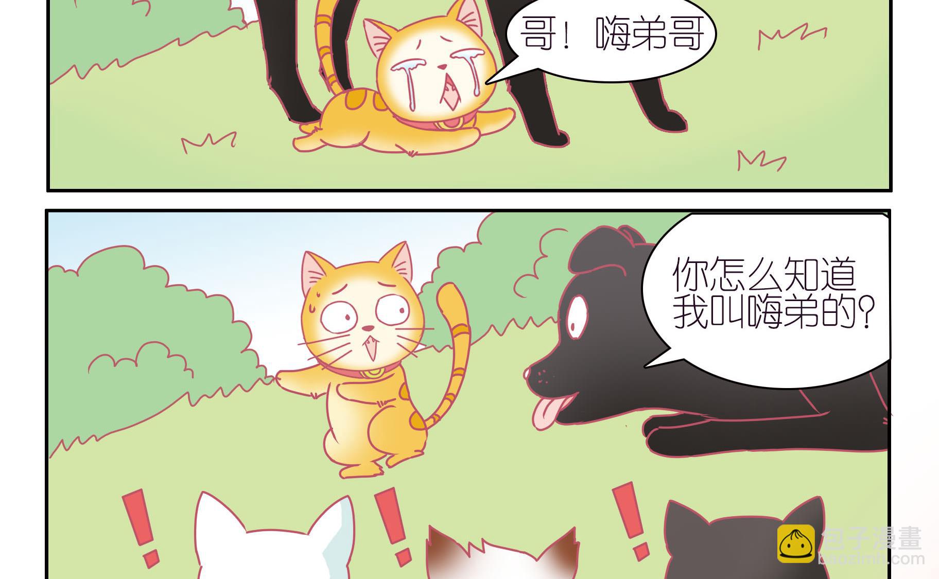 第42话 寻找伙伴 2-第42话