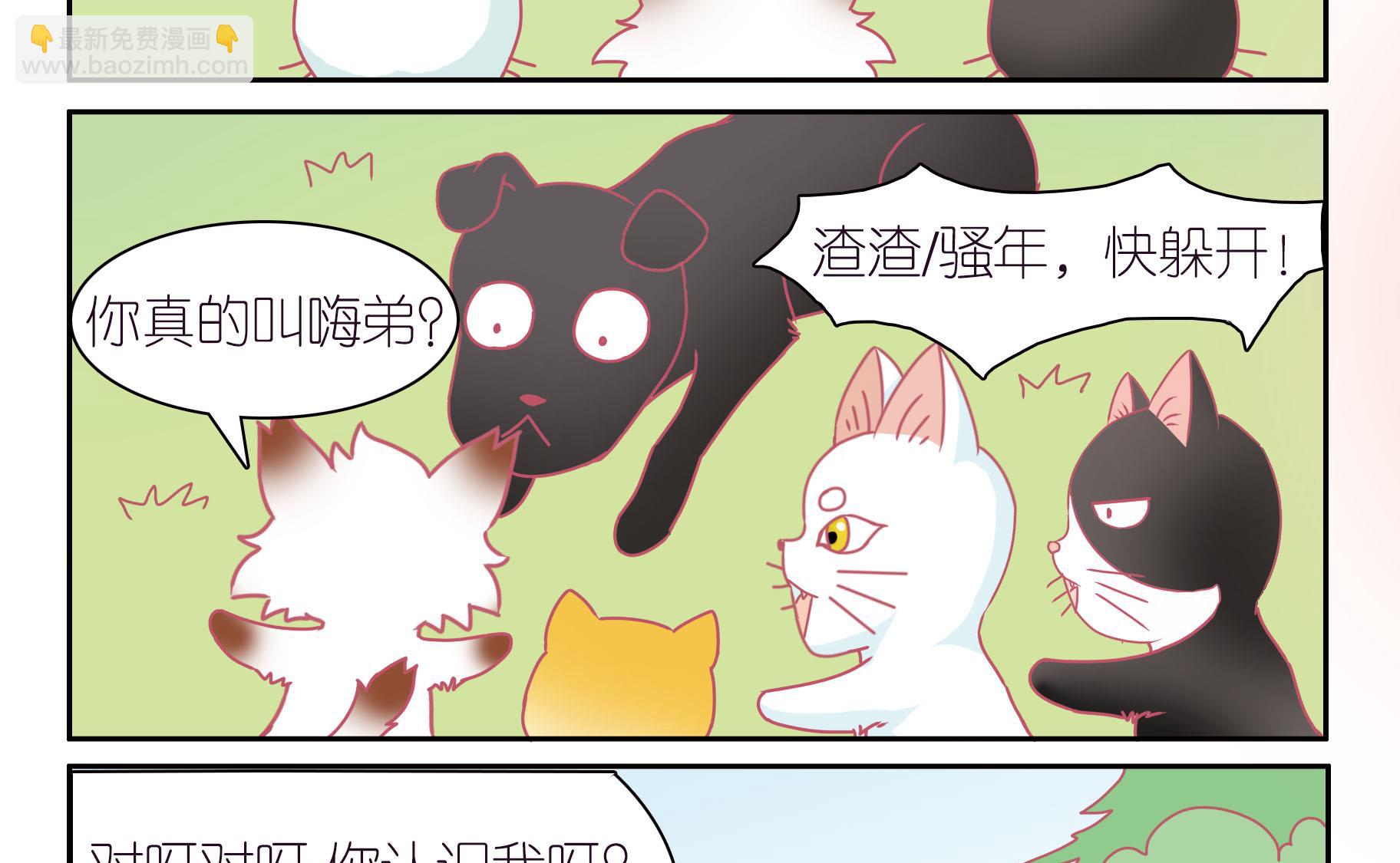 第42话 寻找伙伴 2-第42话