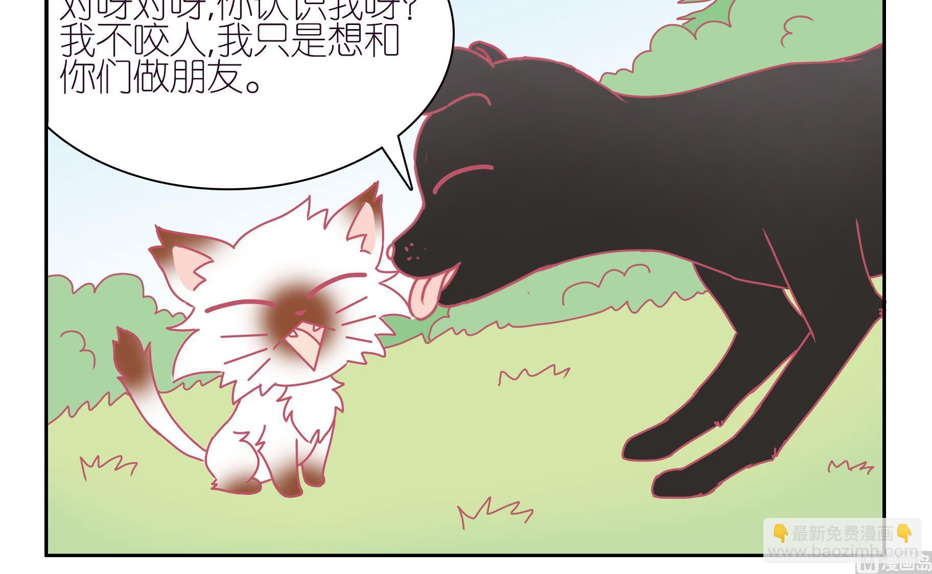 第42话 寻找伙伴 2-第42话