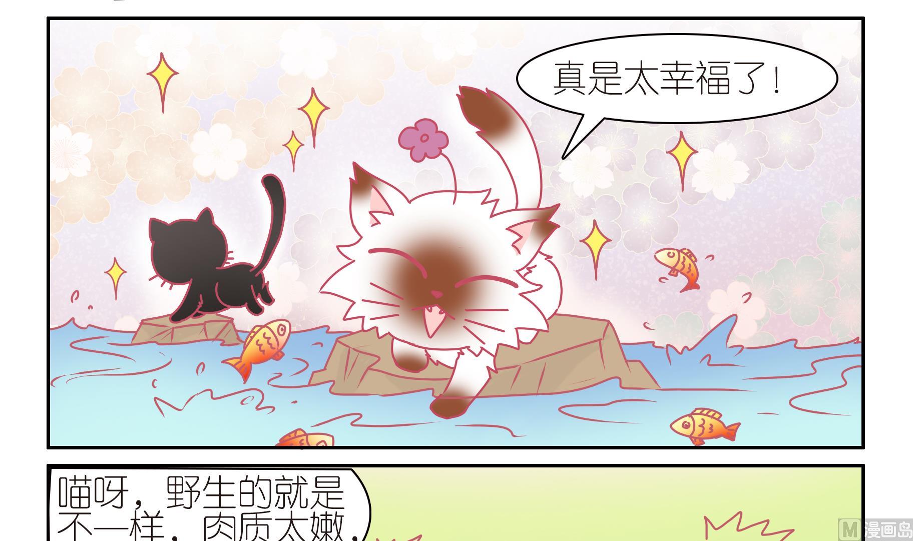 第44话 助喵为乐-第44话