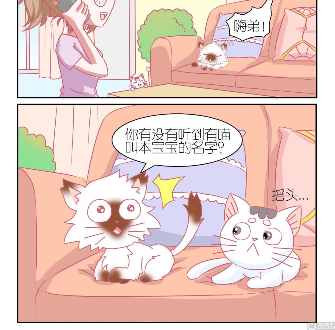 第46话 喵星天使 2-第46话