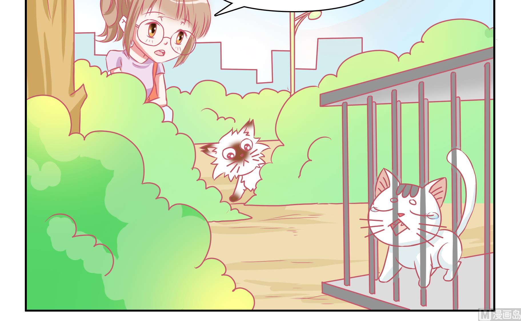 第46话 喵星天使 2-第46话