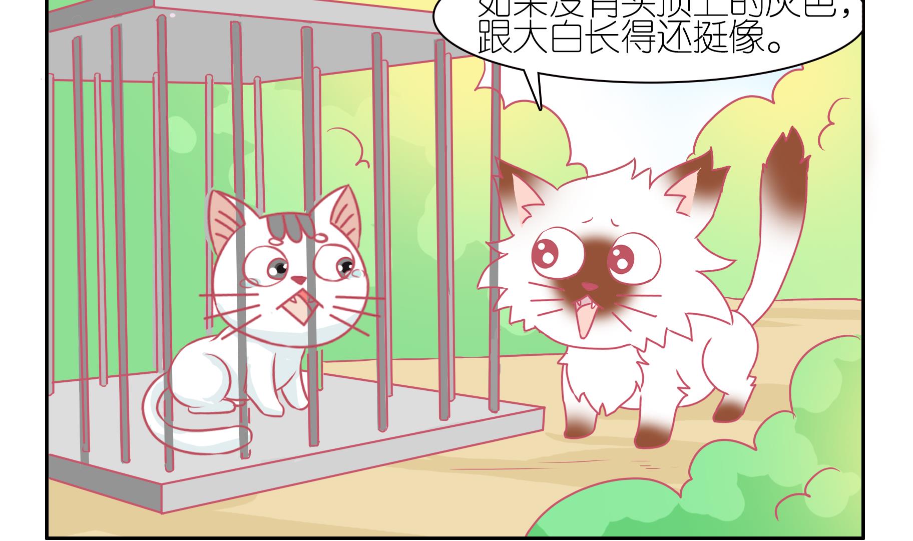 第46话 喵星天使 2-第46话