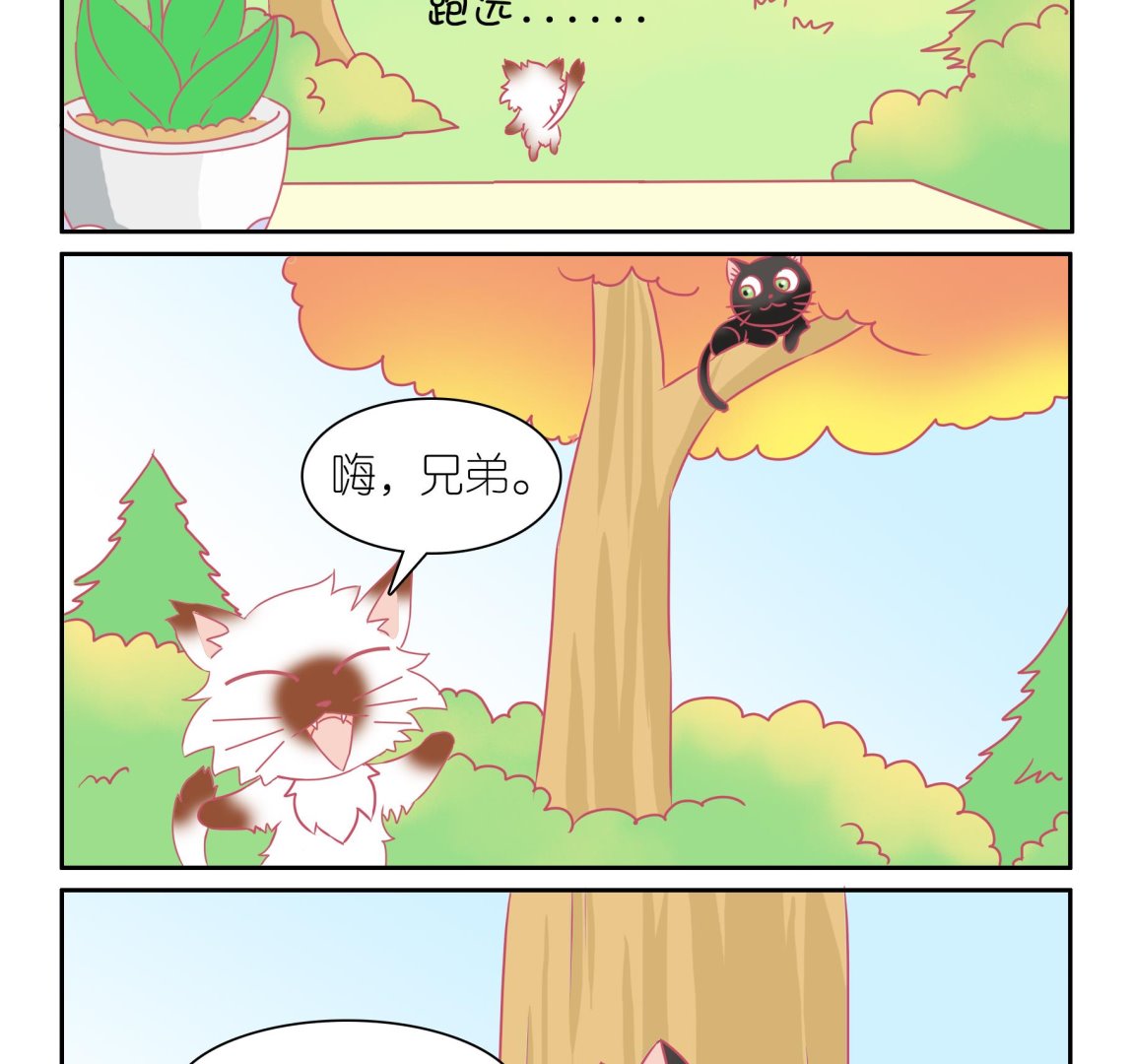 第48话 助喵能手 1-第48话