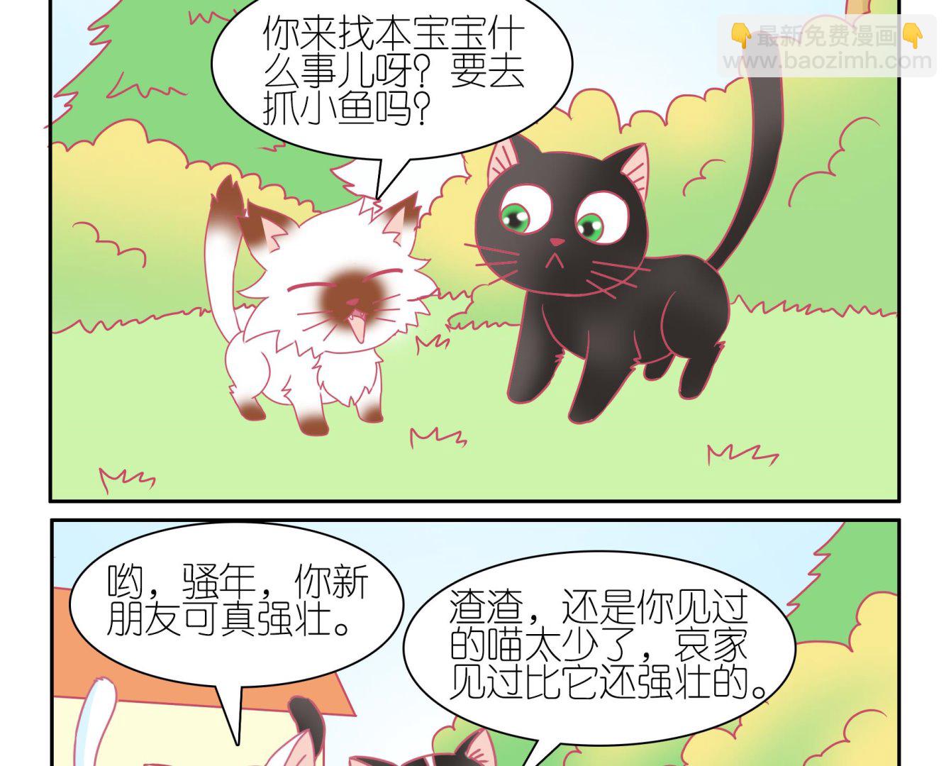 第48话 助喵能手 1-第48话