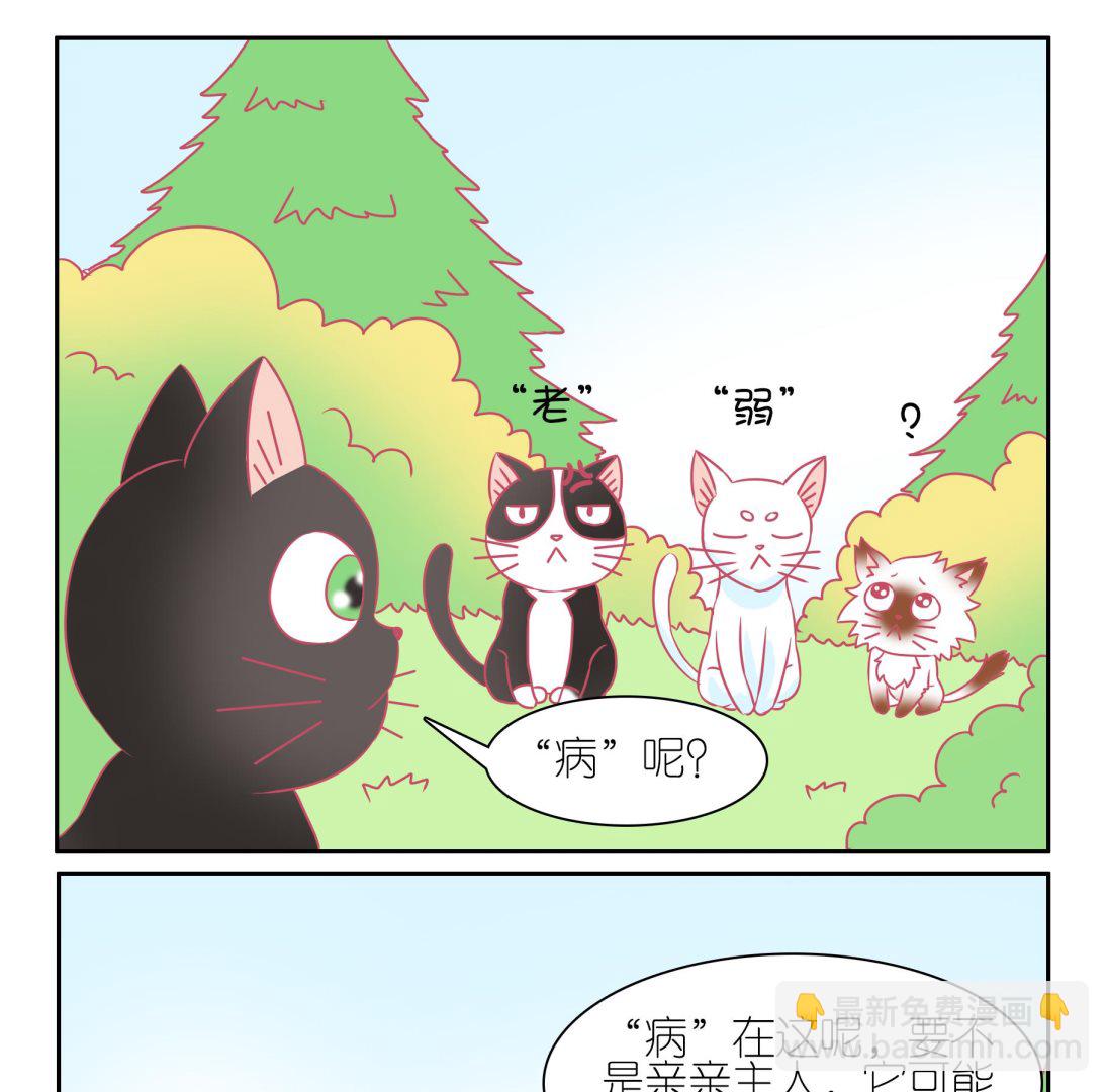 第48话 助喵能手 1-第48话