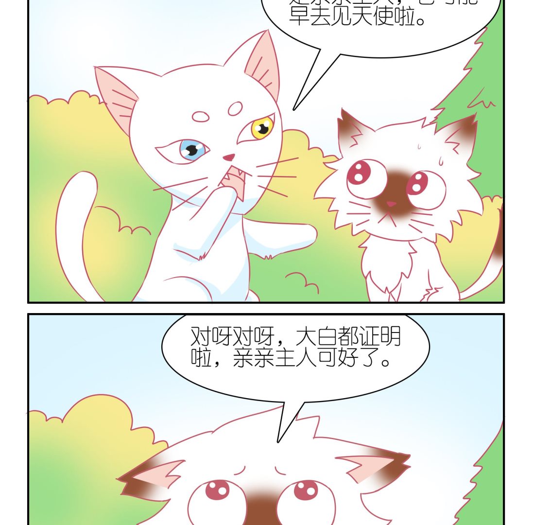 第48话 助喵能手 1-第48话