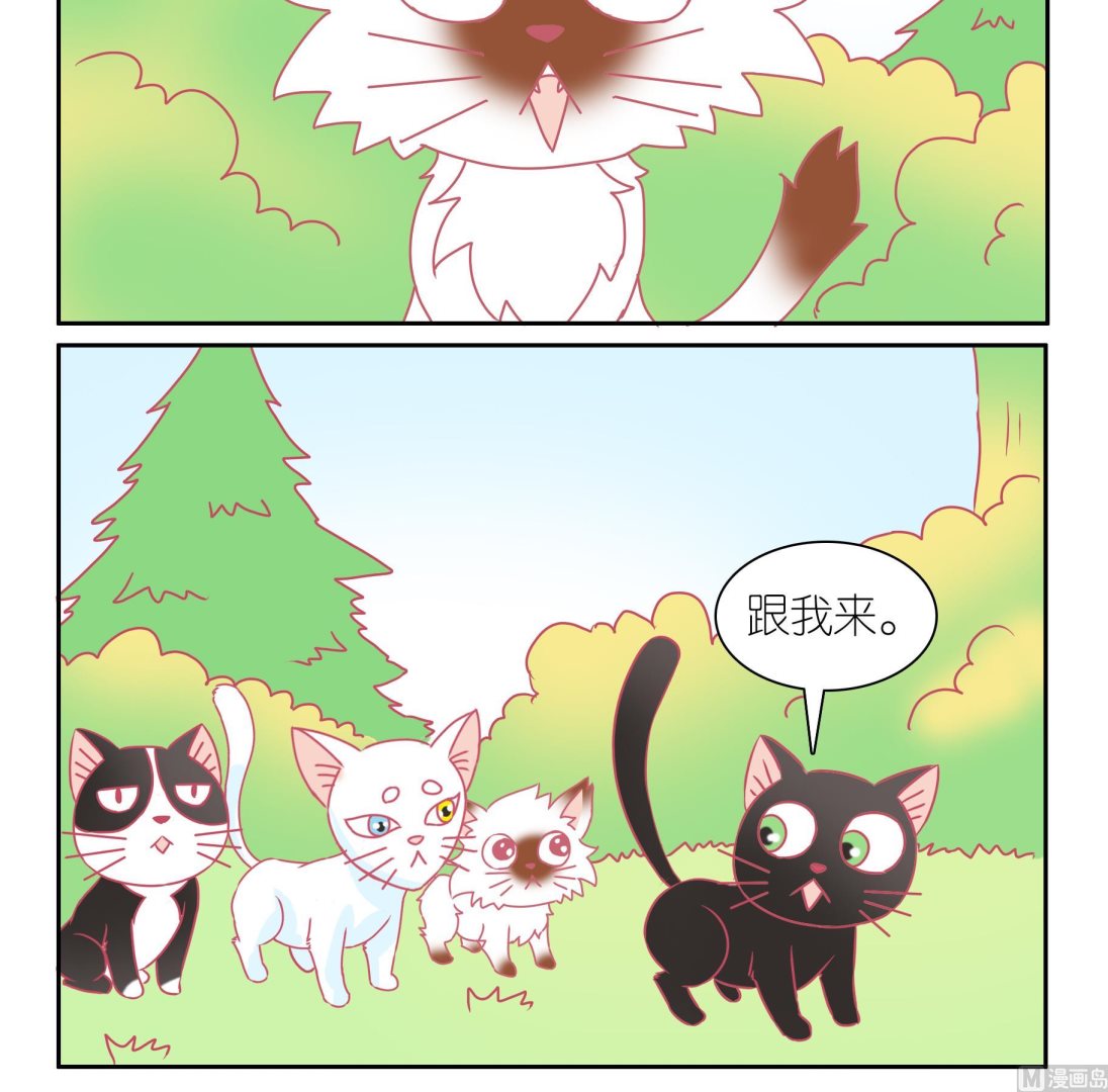 第48话 助喵能手 1-第48话