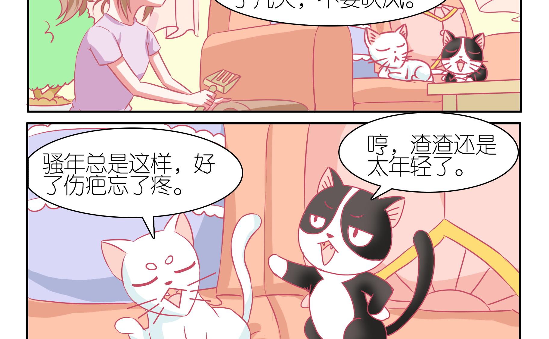 第48话 助喵能手 1-第48话