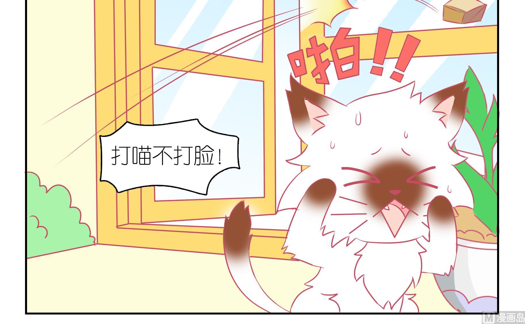 第48话 助喵能手 1-第48话