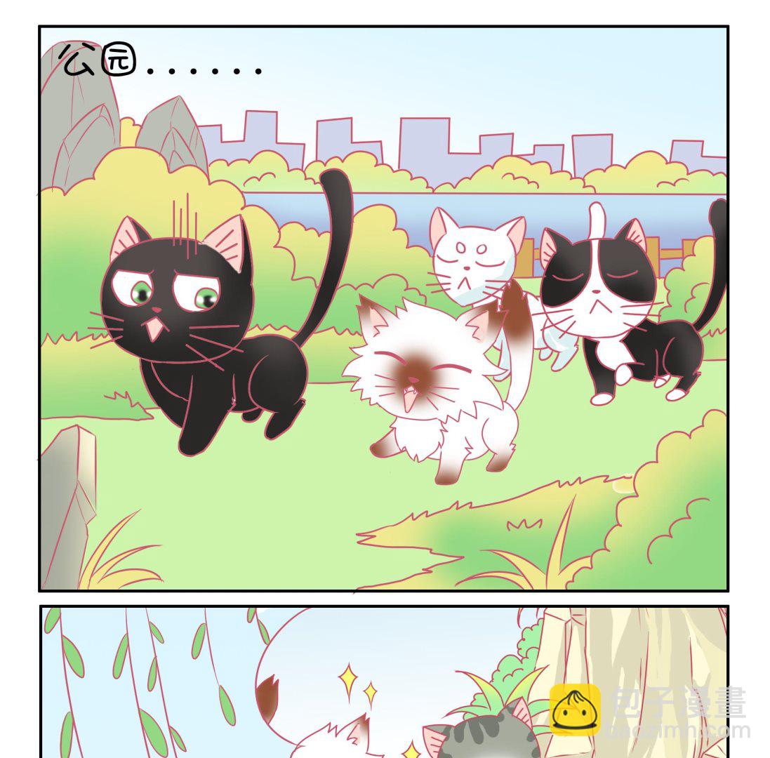 第50话 助喵能手 3-第50话