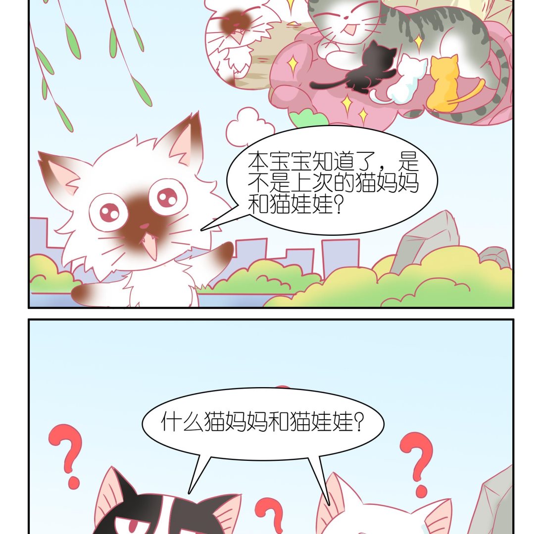 第50话 助喵能手 3-第50话