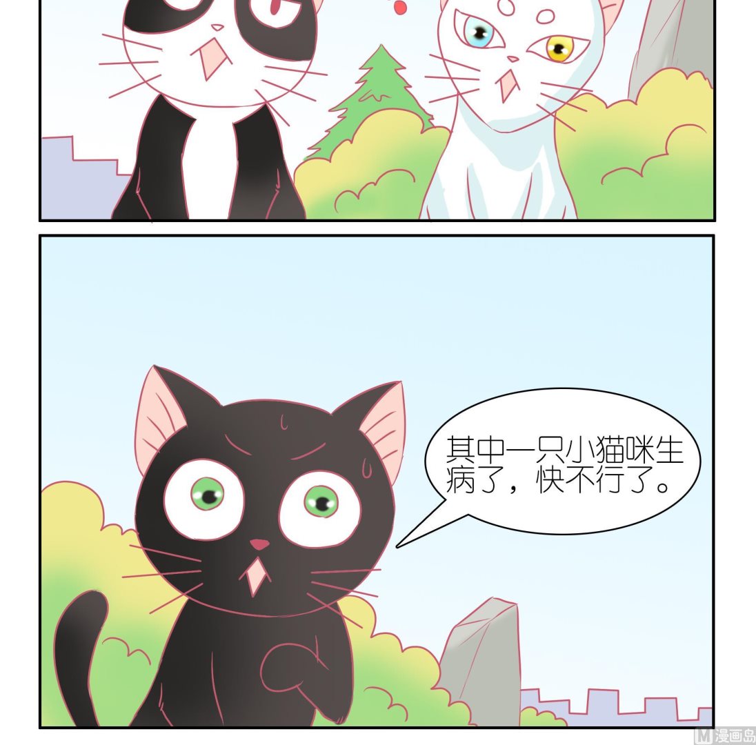 第50话 助喵能手 3-第50话