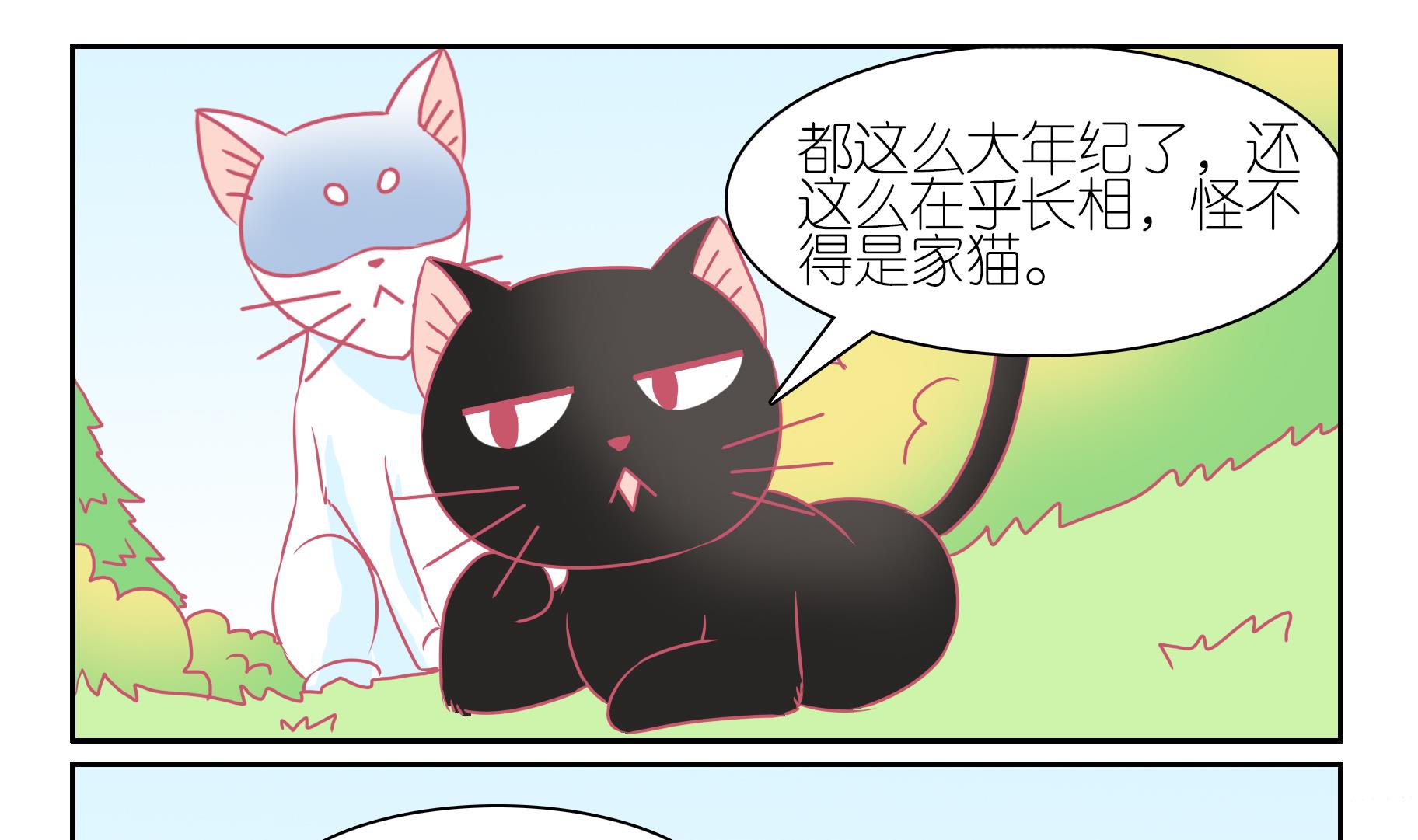 第50话 助喵能手 3-第50话