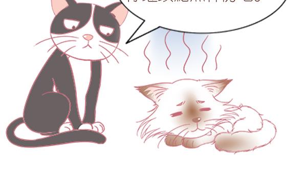 第6话 检查结果 2-第6话