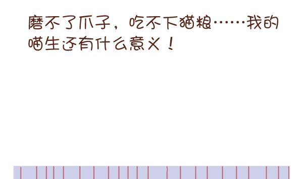 第6话 检查结果 2-第6话