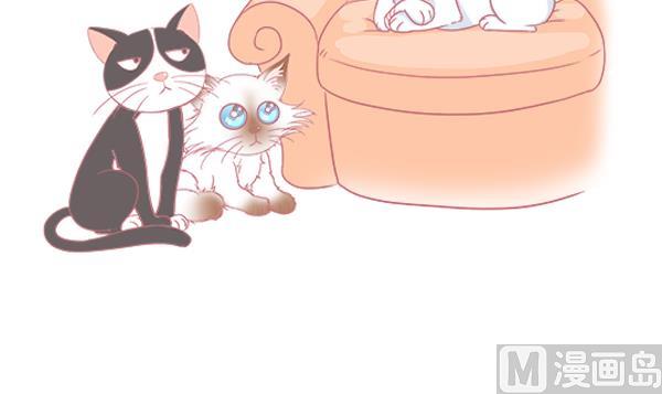 第6话 检查结果 2-第6话