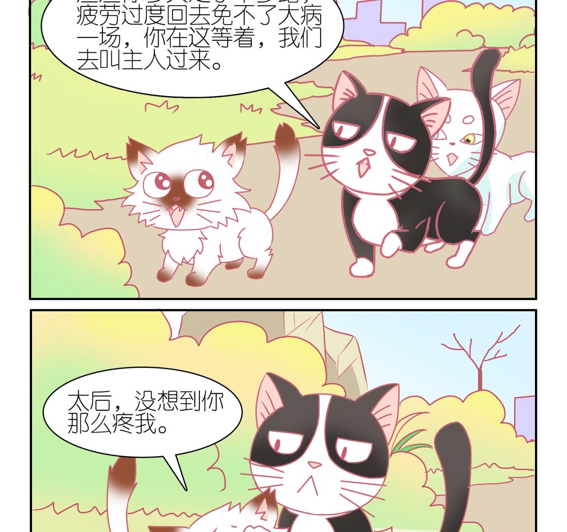 第52话 助喵能手 5-第52话