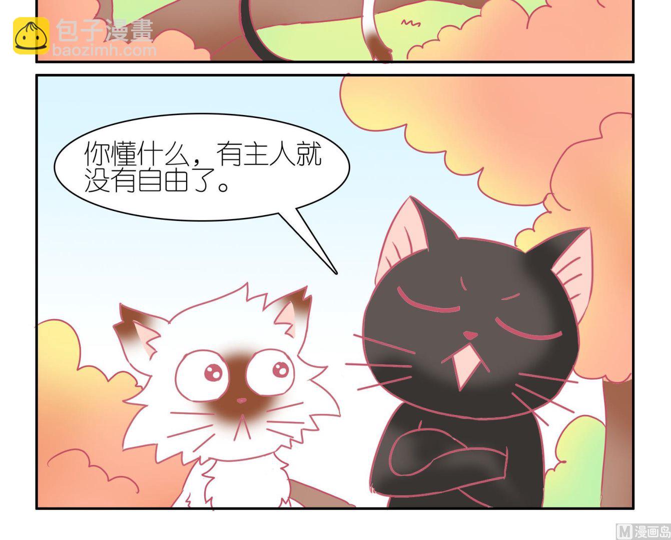 第52话 助喵能手 5-第52话