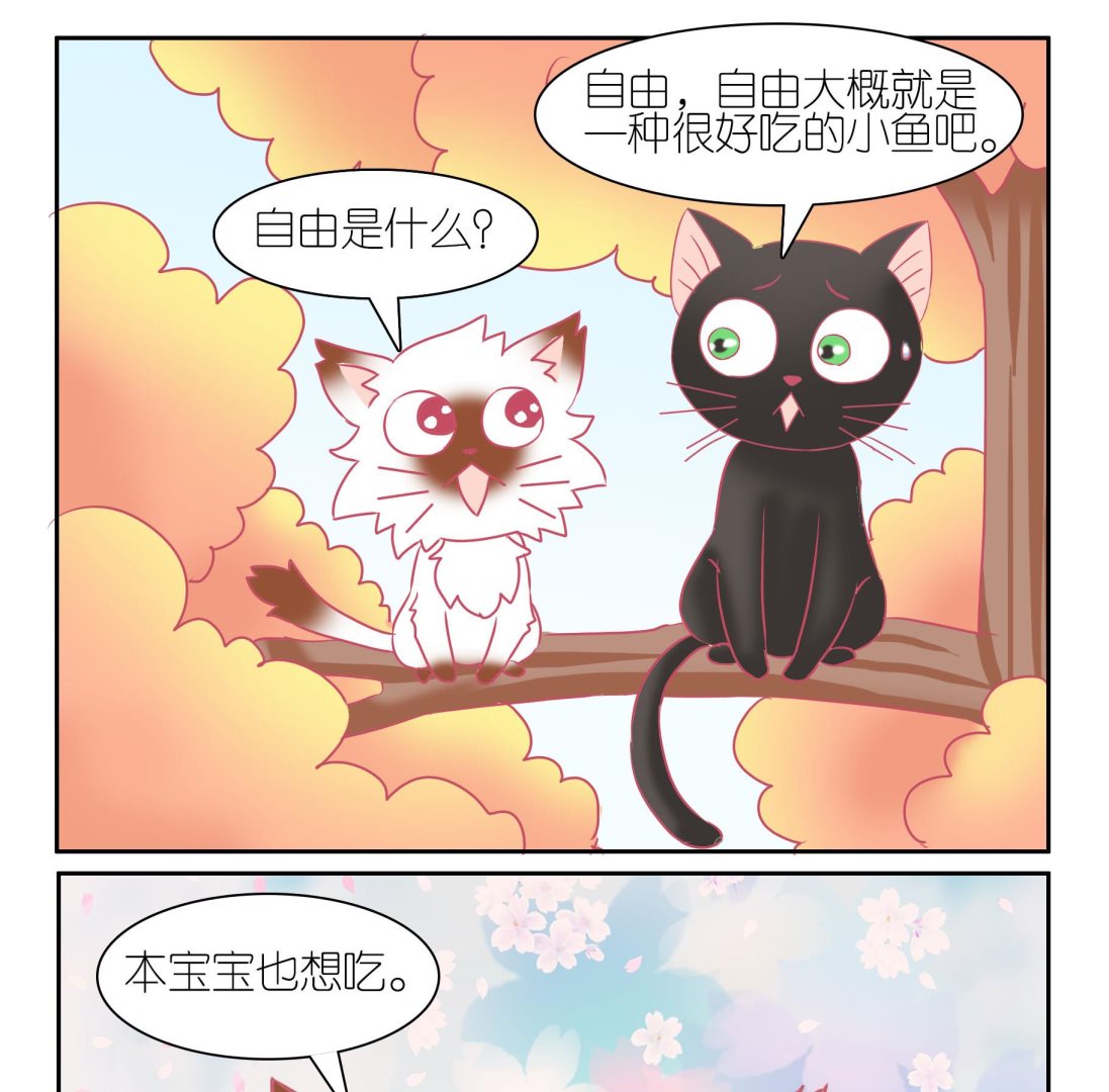 第52话 助喵能手 5-第52话