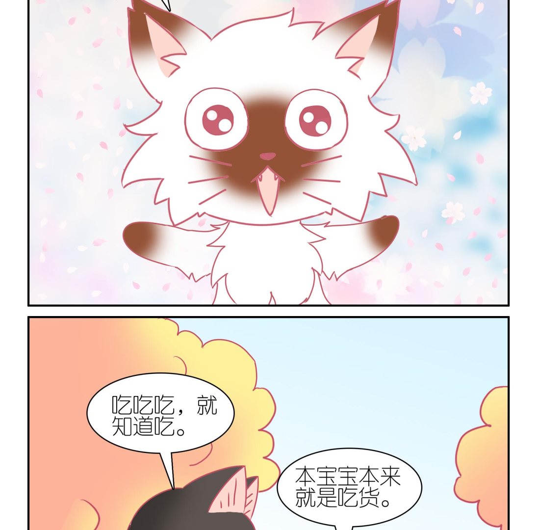 第52话 助喵能手 5-第52话