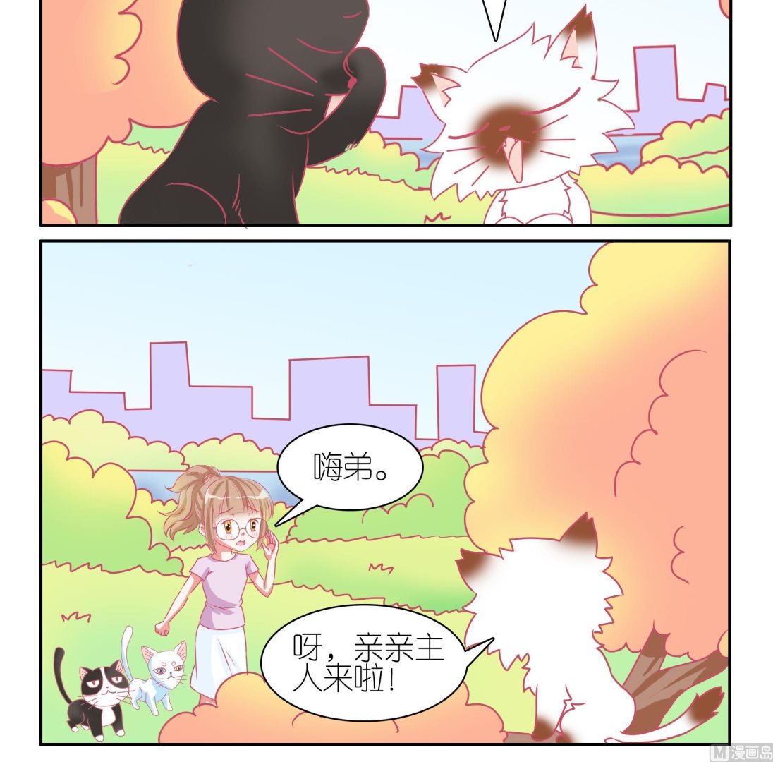 第52话 助喵能手 5-第52话