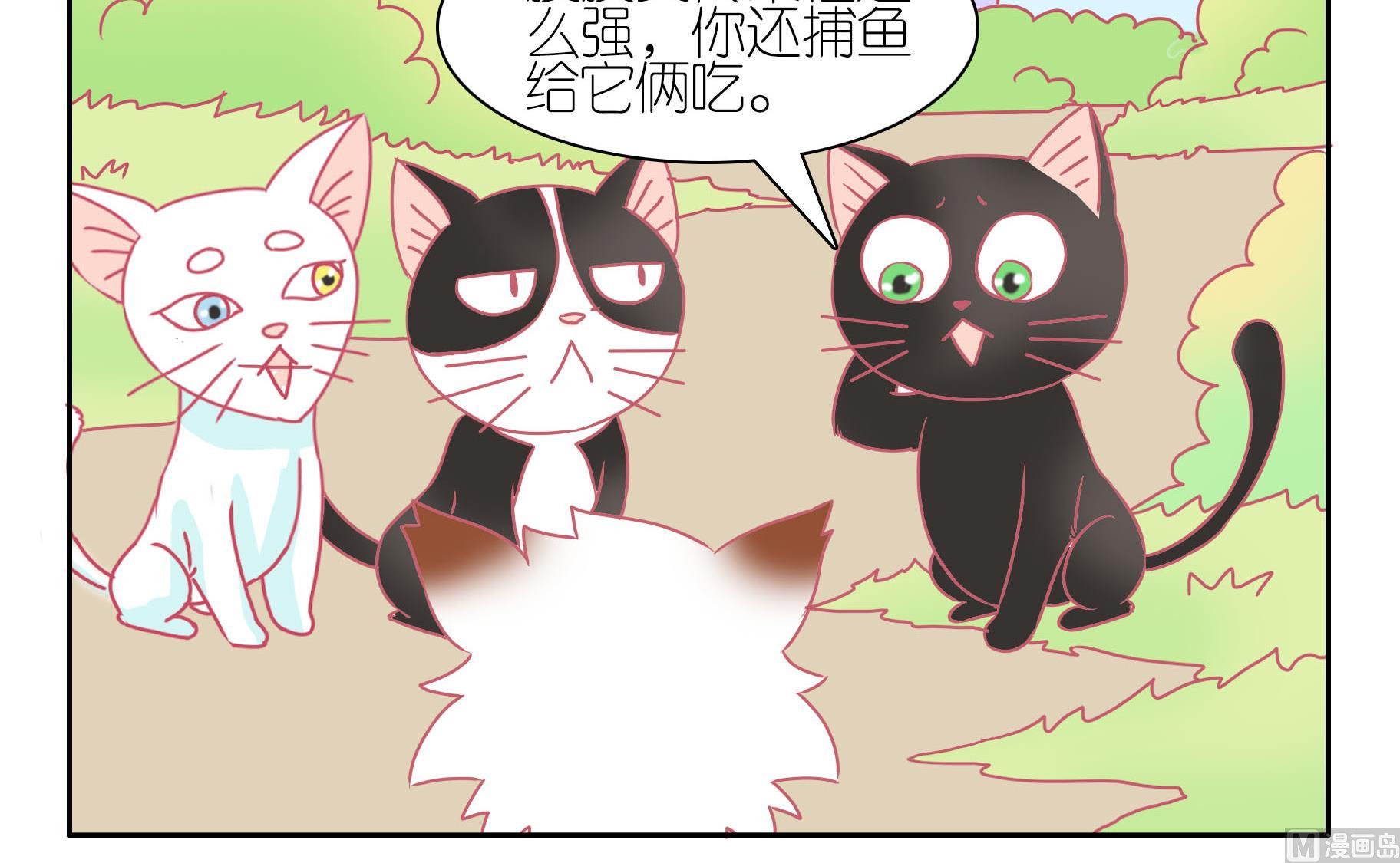 第52话 助喵能手 5-第52话