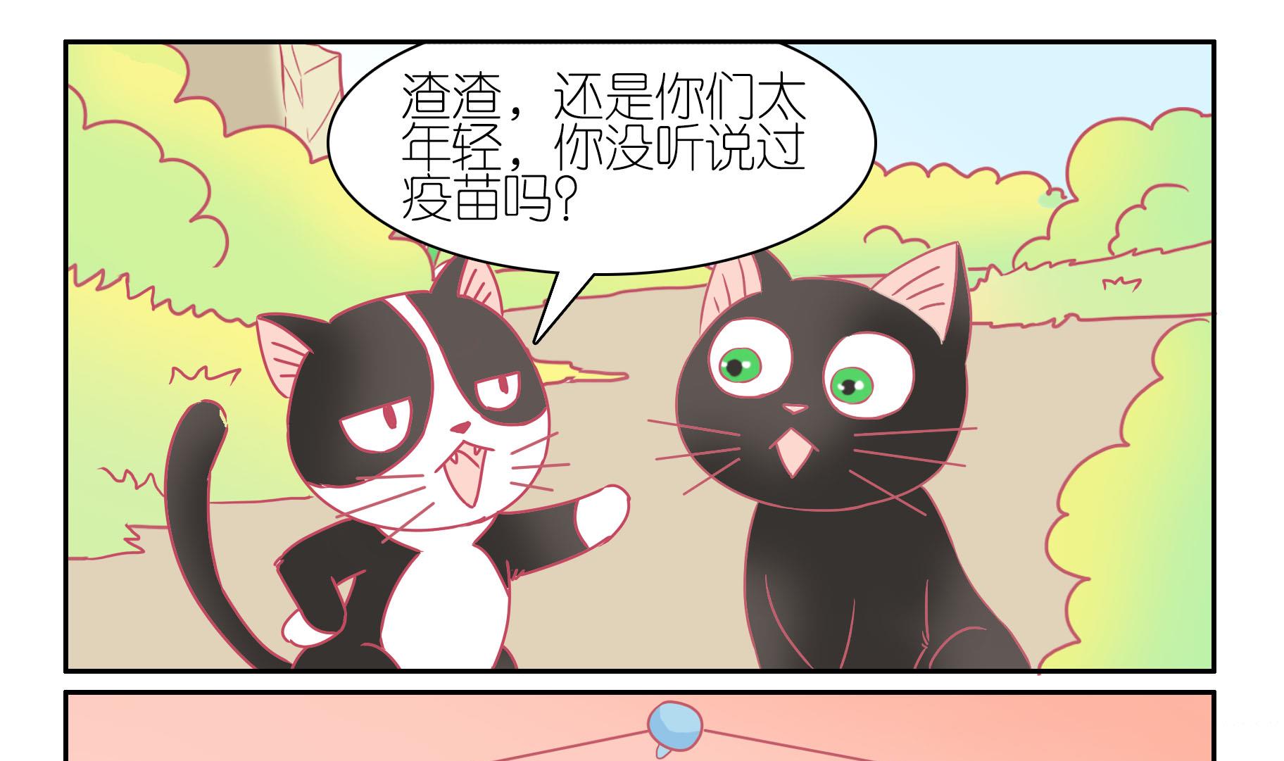 第52话 助喵能手 5-第52话