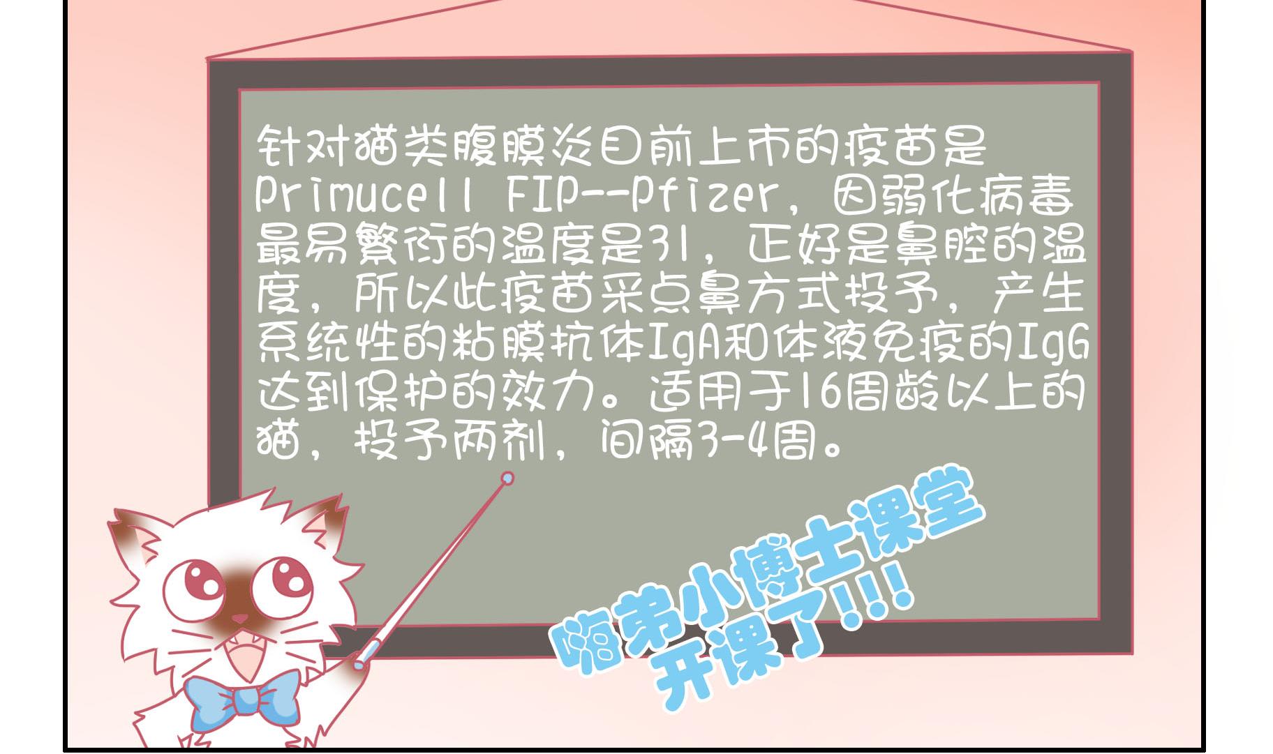 第52话 助喵能手 5-第52话