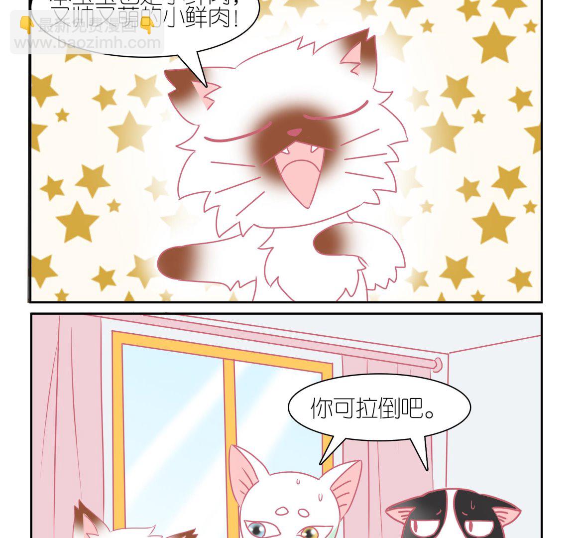 第54话 助喵能手 7-第54话