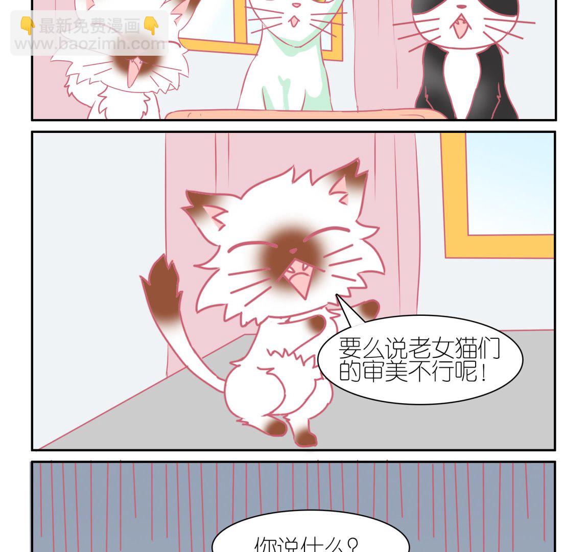 第54话 助喵能手 7-第54话