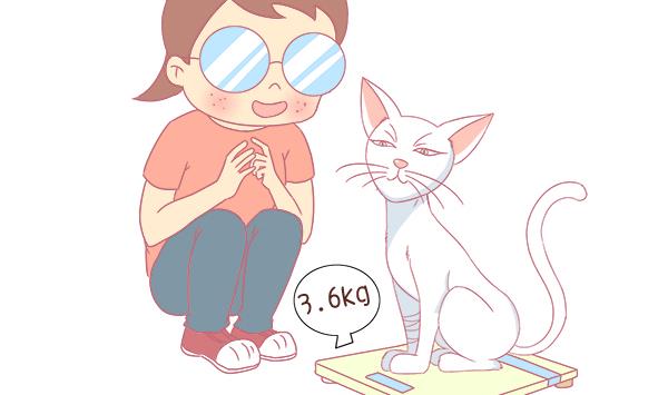 第8话 增肥计划 2-第8话