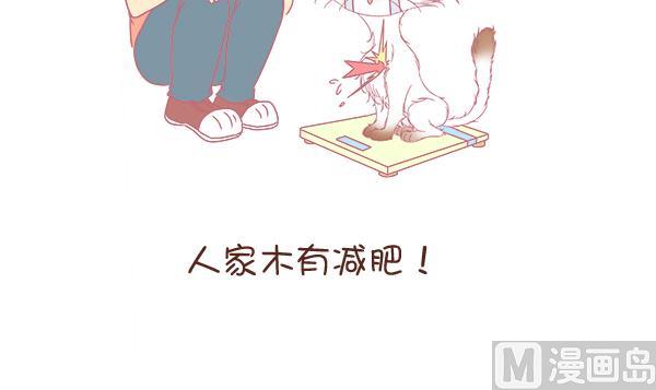 第8话 增肥计划 2-第8话