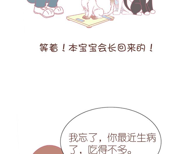 第8话 增肥计划 2-第8话