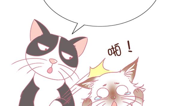 第8话 增肥计划 2-第8话