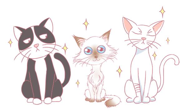 第8话 增肥计划 2-第8话