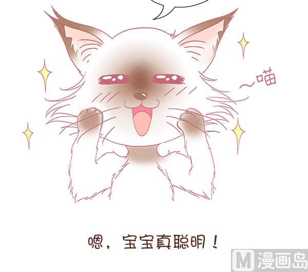 第8话 增肥计划 2-第8话