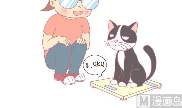 第8话 增肥计划 2-第8话