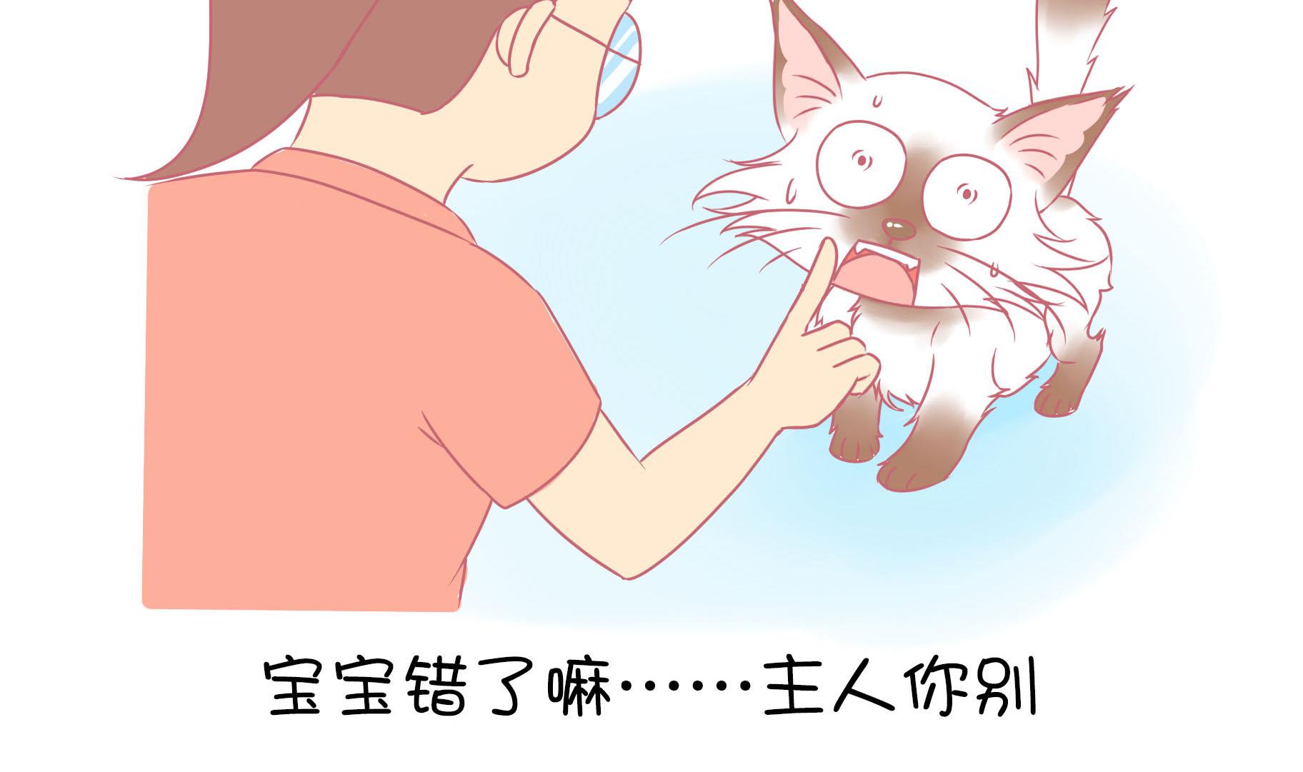 第10话 淘气的嗨弟 2-第10话