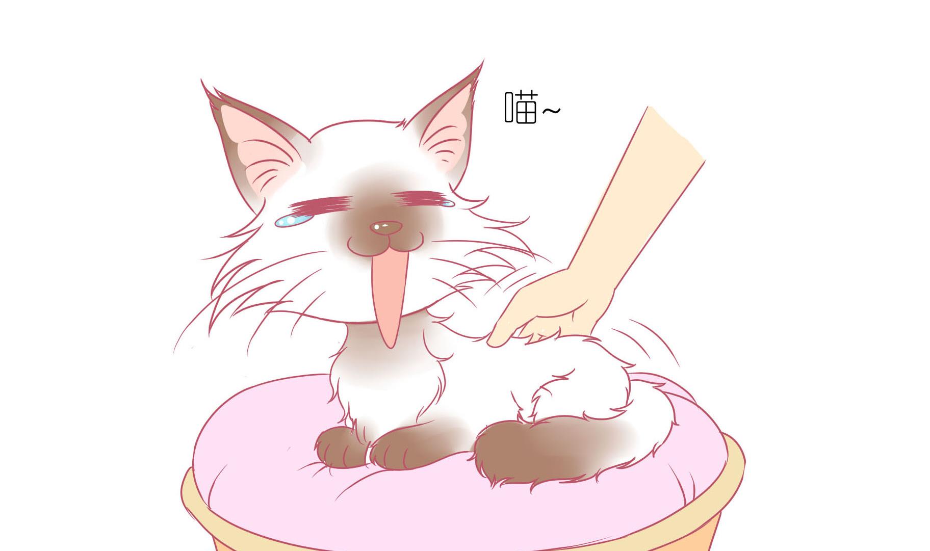 第10话 淘气的嗨弟 2-第10话