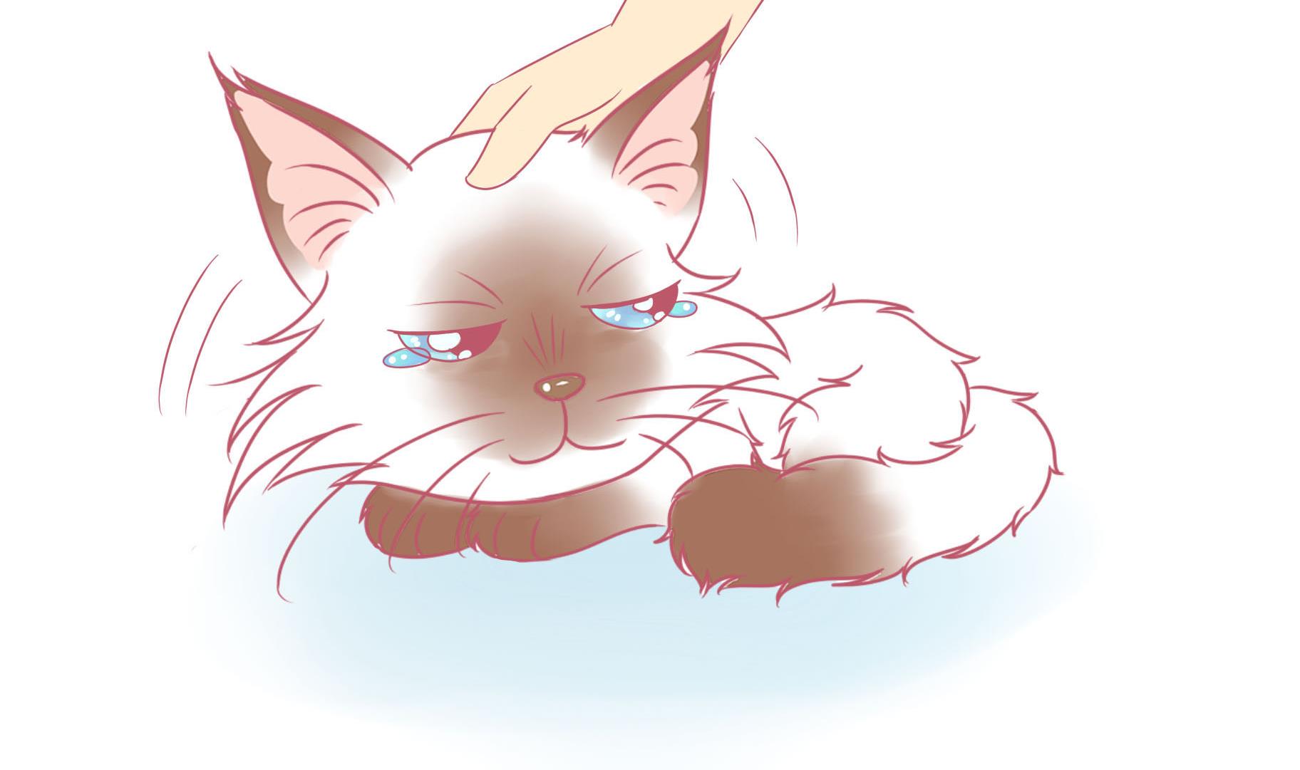 第10话 淘气的嗨弟 2-第10话