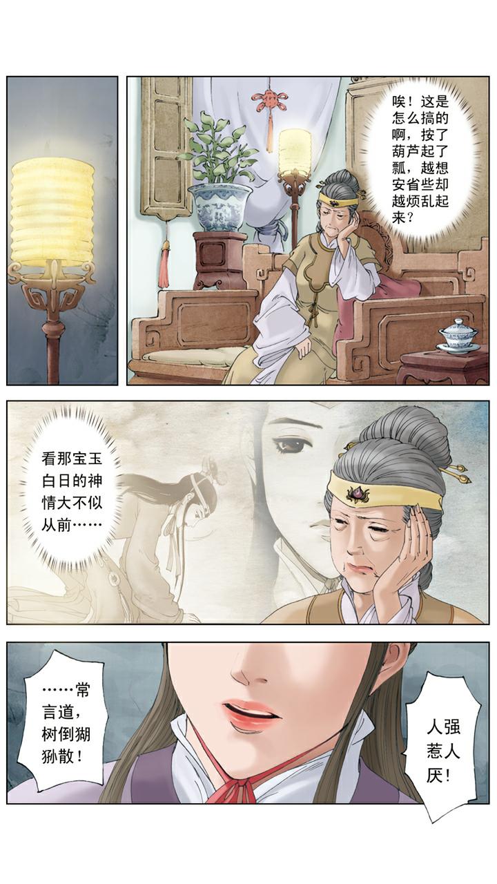 红楼梦 - 第134话 老太太得病 - 4